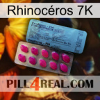 Rhinocéros 7K 35